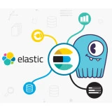 ماژول الستیک سرچ اپن کارت ماژول الستیک سرچ اپن کارت